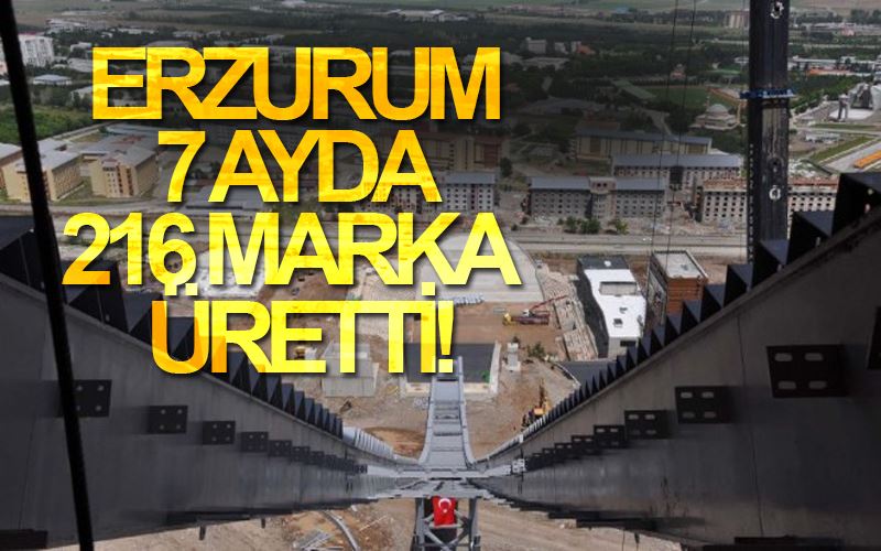 Erzurum 7 ayda 216 marka üretti